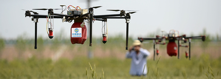 “移”起开新局｜5G+AI拉满乡村振兴进度条